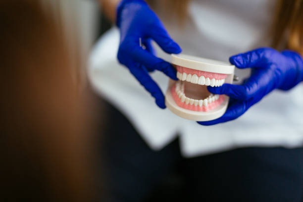  Hanover, MN Holistic Dental Services Pros
